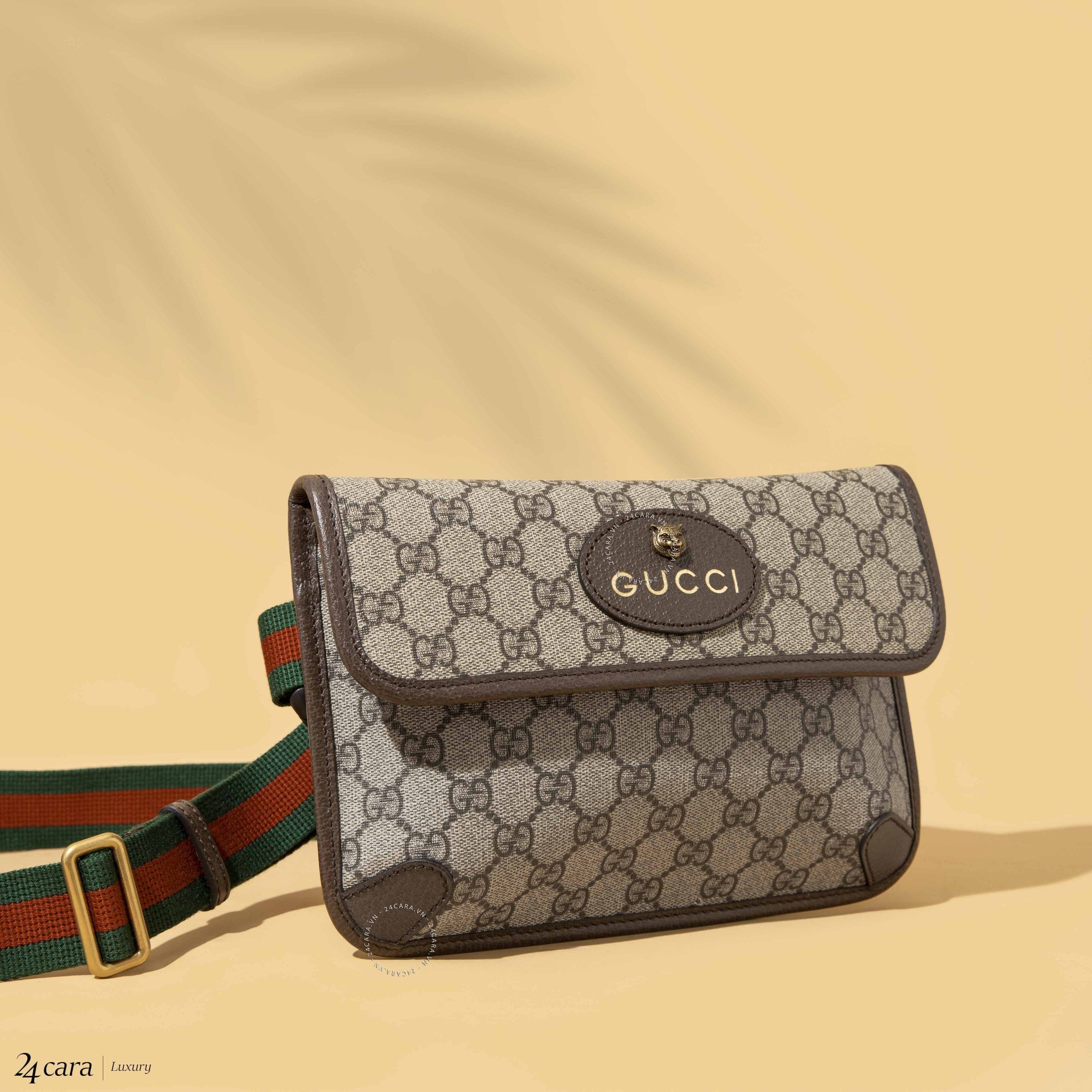 Tại sao phái đẹp nên sở hữu cho mình ít nhất một chiếc túi bao tử Gucci -1.jpg